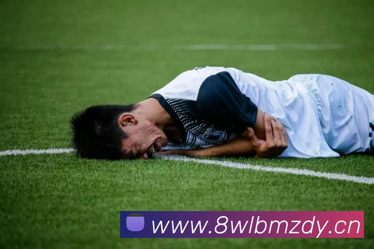 多媒体互动体验